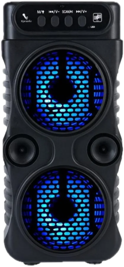 Işıklı Karaoke Hoparlör: Mikrofonlu, Bluetooth, FM
